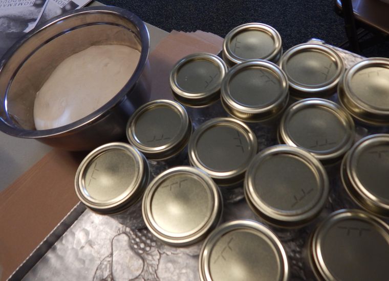 Rows of small jars of sourdough starter ready to take home